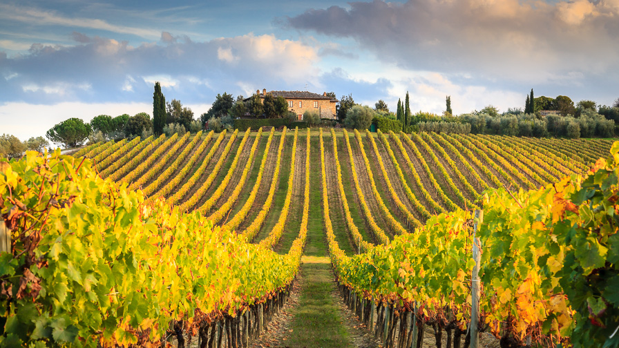 najpopularniejsze atrakcje Włoch - winnice Chianti
