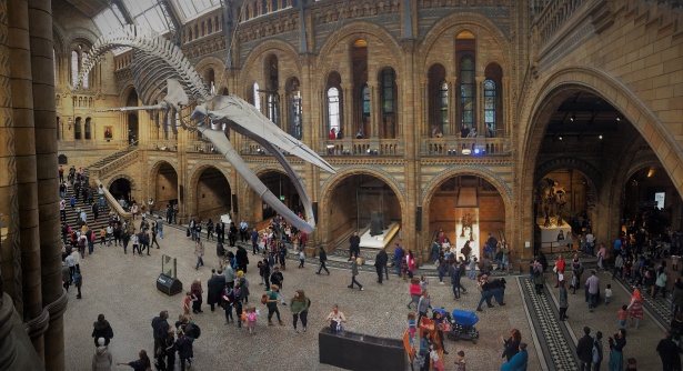 muzeum historii naturalnej w Londynie